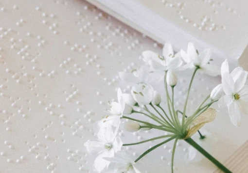 Flor branca pousada em cima de dois livros abertos escritos em Braille