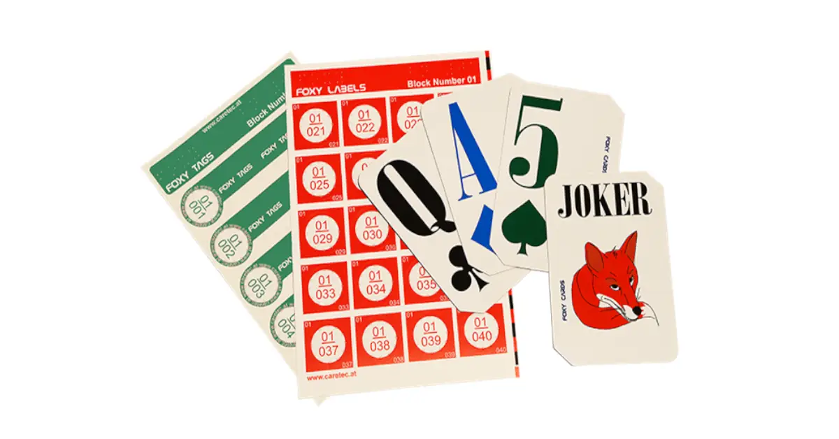 Conjunto de etiquetas de voz personalizadas com marcas em relevo junto a um jogo de cartas ampliado