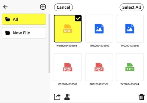 Ecrã com a área de gestão de ficheiros